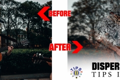 DISPERSION-BEFORE-ND-AF