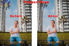 puppet-warp-1
