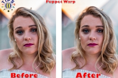 puppet-warp-2